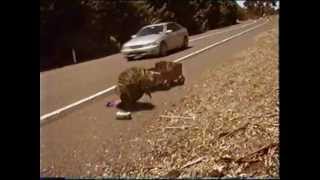 2007 EPA ad targeting litter with an animated echidna [upl. by Hospers21]