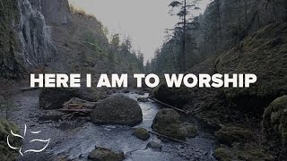 Here I Am To Worship  Maranatha Music Lyric Video [upl. by Rosalynd]