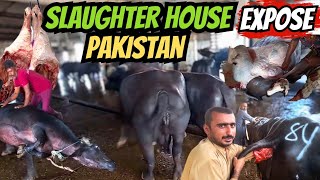 Expose Slaughter house Pakistan  Aisa Biggest Slaughter house Pakistan [upl. by Reerg]