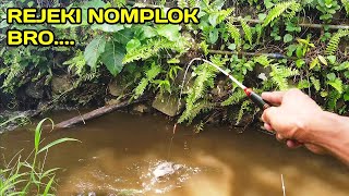 Mantap Bro Mancing di Selokan Setelah Banjir Besar LM26 [upl. by Laurel]