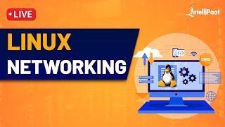 Linux Networking  Linux Networking Commands  Linux Networking Tutorial  Intellipaat [upl. by Ardnuahc]