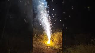 Unbelievable Flower pot fireworks in slow motion [upl. by Ilera]