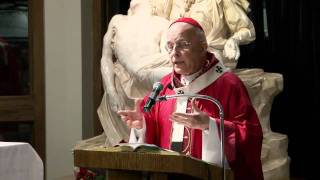 Pieta Blessing  Francis Cardinal George  Holy Family Parish [upl. by Studnia429]