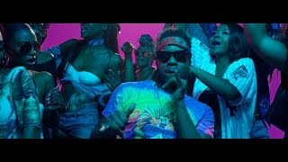 Maleek Berry  Eko Miami ft Geko Official Video [upl. by Akemyt]