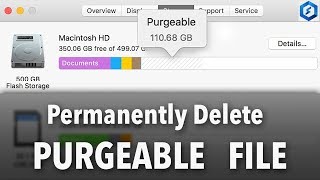 How To Permanently Delete PURGEABLE Files on Mac OS Other File amp Optimize Storage Videos [upl. by Dina]