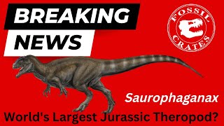 Saurophaganax  Largest Jurassic Theropod Dinosaur [upl. by Artiek]