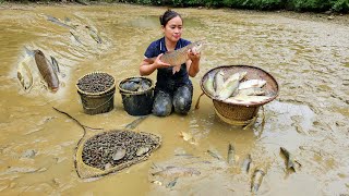 Process Harvesting Fish amp snails in farm  Grilled fish  Cooking  Puppy [upl. by Jr]