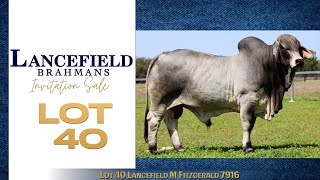 Lot 40 Lancefield M Fitzgerald 7916 [upl. by Tarah658]