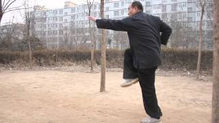 Shang Xing Yi Quan  Hou Xing Monkey Style [upl. by Enyrhtak]