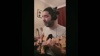 İncompatibilidade de genios  Joao Bosco  guitar cover [upl. by Aleka]