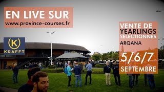 Présentation Vente ARQANA TROT VENDREDI partie 2 [upl. by Caesaria193]