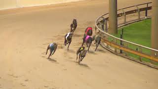 Rockhampton04122024Race5 [upl. by Eciened]