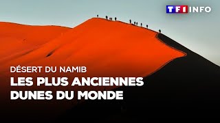 Désert du Namib  les plus anciennes dunes du monde [upl. by Rebhun]