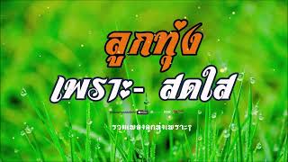 เพลงลูกทุ่ง พาเพลิน คัดมาพิเศษ ฟังต่อเนื่อง [upl. by Semyaj]