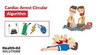 ACLS Cardiac Arrest Circular Algorithm [upl. by Ycul481]