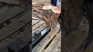 😱 Amazing wood splitting machine Extreme splitting🪓🪵 firewood logsplitter [upl. by Svetlana950]