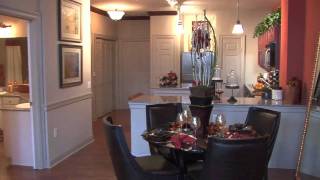 Halstead Apartment Homes  Houston Texas Apartments for Rent [upl. by Ycniuqal]