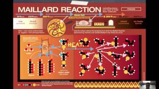 Maillard Reaction [upl. by Cousins796]