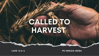 Called to Harvest [upl. by Leontine]