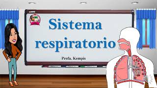 Sistema respiratorio [upl. by Clark]