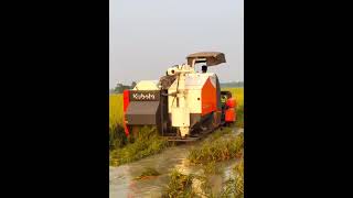 KUBOTA HADVESTAR  PRO DC68G viralvideo kalahandi sambalpurisong viralshorts tendingshorts [upl. by Annola]