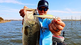 SPRING Jerkbait Fishing for BIG BASS Tips To Catch More Fish [upl. by Clemmie811]