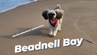 Beadnell Bay Northumberland [upl. by Brit]