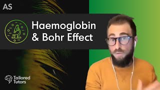 Haemoglobin amp Bohr Effect  A Level Biology Revision  AQA [upl. by Aniluj]