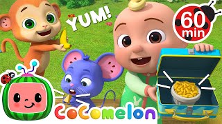 The Lunch Song  🌈 Cocomelon 🌈  Preschool Learning  Moonbug Tiny TV [upl. by Kingston]