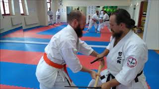 Tesshinkan Seminar Ilmenau 20170916 [upl. by Eloci]