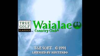 True Golf Classics Waialae Country Club SNES  BGM 07 Tournament Champion [upl. by Alleirbag]