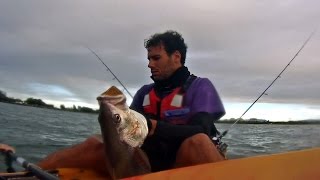 Kayak fishing Gold Coast Seaway [upl. by Felicdad]