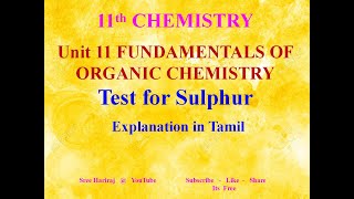 Test for Sulphur in Tamil Unit  11  11th Chemistry [upl. by Arthur]