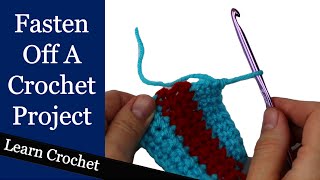 How to Finish a Crochet Project  Beginner Course Lesson 75 [upl. by Willetta216]