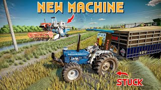 Khub Geya FORD 3600🔥💪 Rice Harvesting  FS22  Spanker Farming PART3 [upl. by Adna]