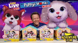 6 Little Live Pets My Puppy’s Home Minis Build Home amp Puppy Magically Arrives Toy Adventure Fun [upl. by Bakki]