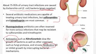 Nursing Pharmacology Ch 46 Urinary Tract Infection Drugs [upl. by Namielus776]