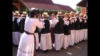 Dantausii din Grosi  Maramures 2012 [upl. by Emmey]