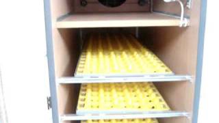 automatic egg incubator [upl. by Ateval]