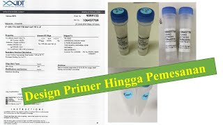 Cara Design Primer hingga Pemesanan Primer  untuk PCR [upl. by Yul37]