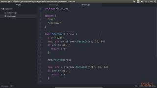 Begin Soln in Go–The Basics Clients amp ServersConvert Data Type amp Interface Casting packtpubcom [upl. by Akiemat]
