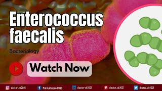 Enterococcus faecalis Classification Virulence and Antibiotic Resistance  A Comprehensive Guide [upl. by Nedyaj]