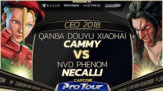 Qanba Douyu XiaoHai Cammy vs NVD Phenom Necalli  CEO 2018  Top 8  CPT 2018 [upl. by Brezin213]