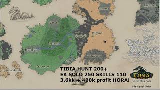 TIBIA HUNT  EK SOLO 200  BANUTA 3  36KK  400K PROFIT HORA [upl. by Ettenauq53]