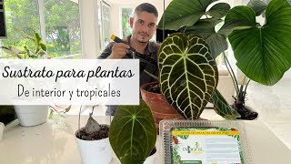 El mejor sustrato para plantas de interior y tropicales  son asombrosos los resultados [upl. by Arama662]