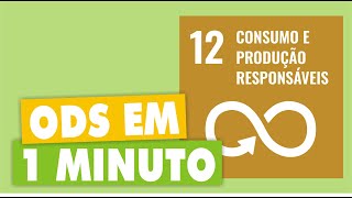 OBJETIVOS DE DESENVOLVIMENTO SUSTENTÁVEL  OBJETIVO 12 [upl. by Mount642]