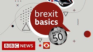 Brexit How do you delay leaving  BBC News [upl. by Eciryt]