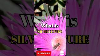 What is silviculture shorts facts biology [upl. by Frederiksen]