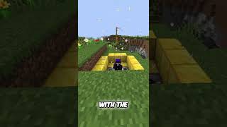 Minecraft Snapshot 24w33a MINECARTS UPDATE minecraft minecart snapshot [upl. by Earehc]