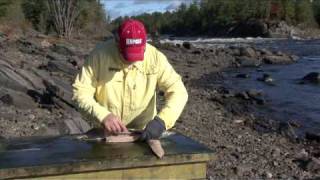 Filleting Pike Technique  boneless pike fillets [upl. by Kimmie]